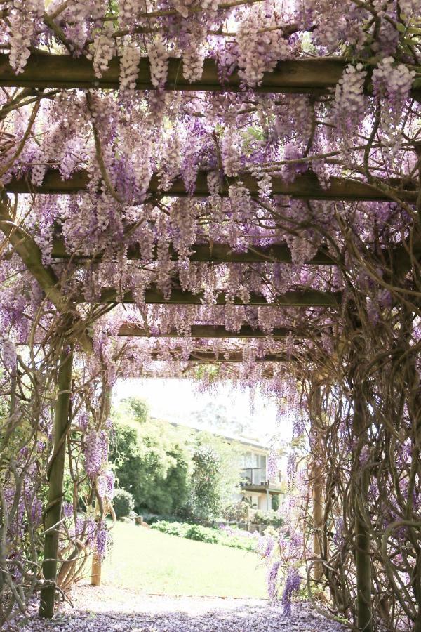 Flower Farm Tamborine Mountain Mount Tamborine Bagian luar foto
